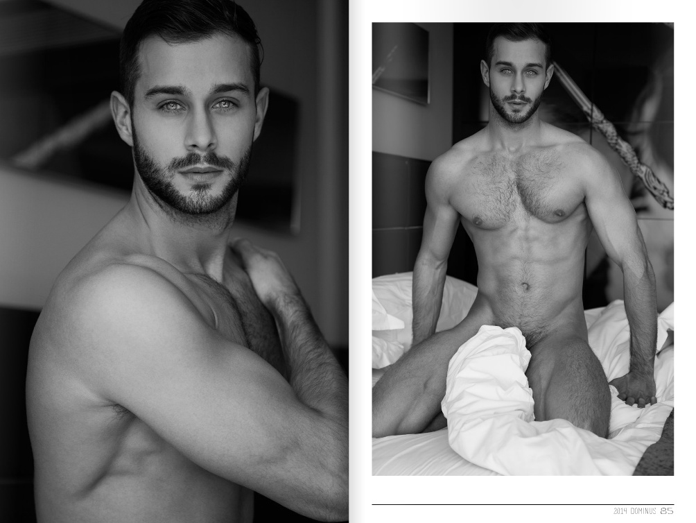 Attitude Models